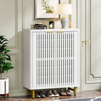 Meuble à chaussures avec porte pour entrée et salon, capacité de 24 paires