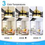 Ventilateur de plafond Breezary à 5 pales LED 65/52/42 avec kit d'éclairage et télécommande