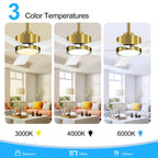 Ventilateur de plafond Breezary à 5 pales LED 65/52/42 avec kit d'éclairage et télécommande