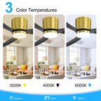 Ventilateur de plafond LED à montage encastré de 52 pouces noir/blanc avec éclairage et télécommande (3 pales)