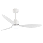 Ventilateur de plafond LED 52 pouces avec éclairage et télécommande (3 pales)
