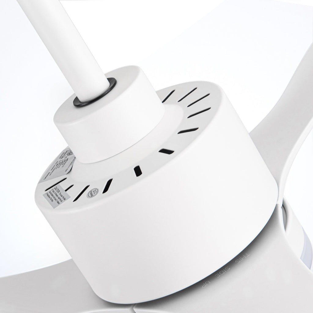 Ventilateur de plafond LED 52 pouces avec éclairage et télécommande (3 pales)