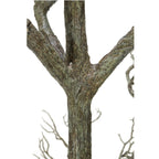 96 Branche de bois mort d'arbre