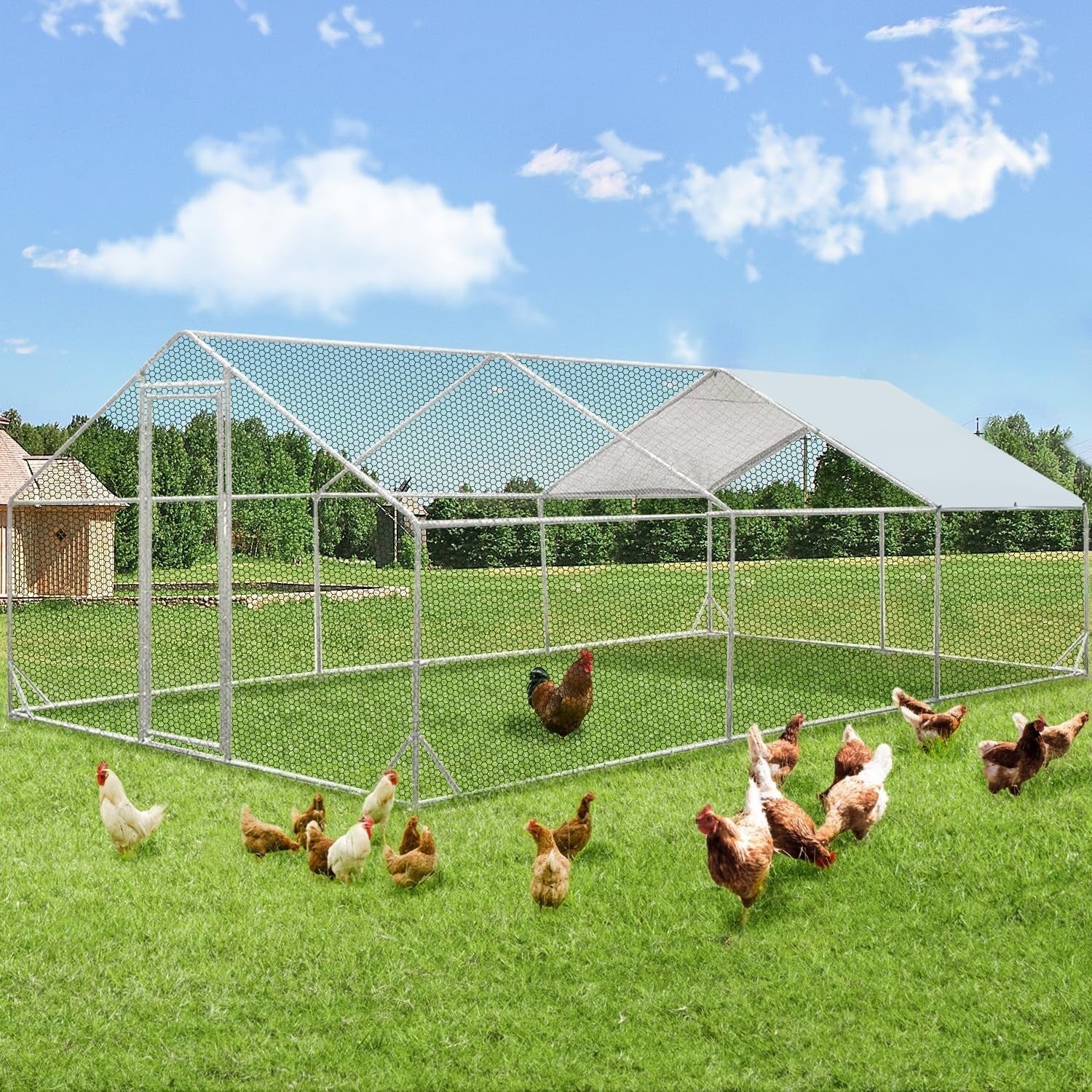 AECOJOY Grand poulailler métallique, enclos à poules, cage à poules métallique à accès facile