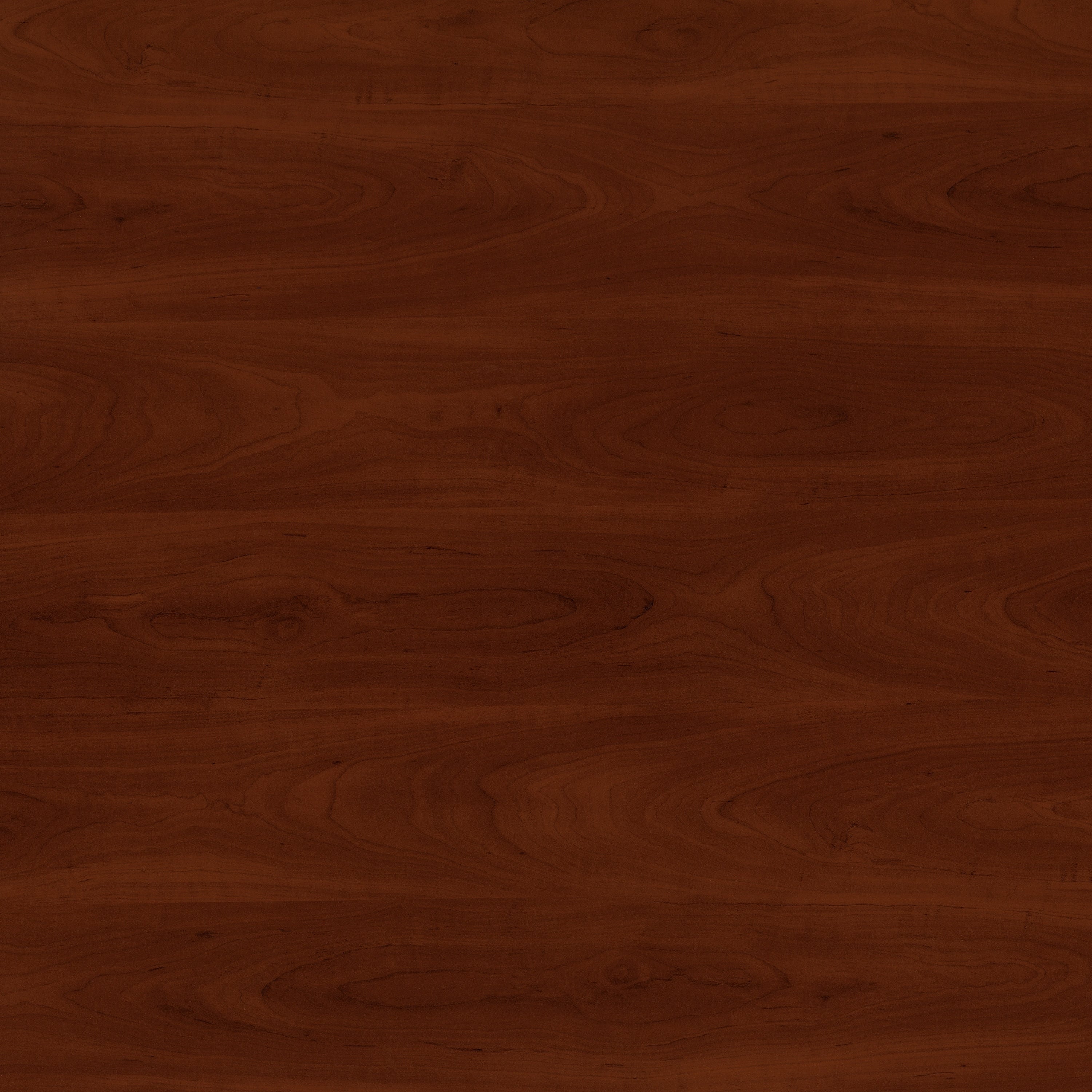 Étagère à livres haute Somerset à 5 niveaux avec étagères réglables de Bush Furniture