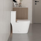 CB HOME 24'' Toilettes compactes monobloc, chasse d'eau double, siphon moderne, hauteur confortable de 16,5'' avec siège à fermeture amortie.