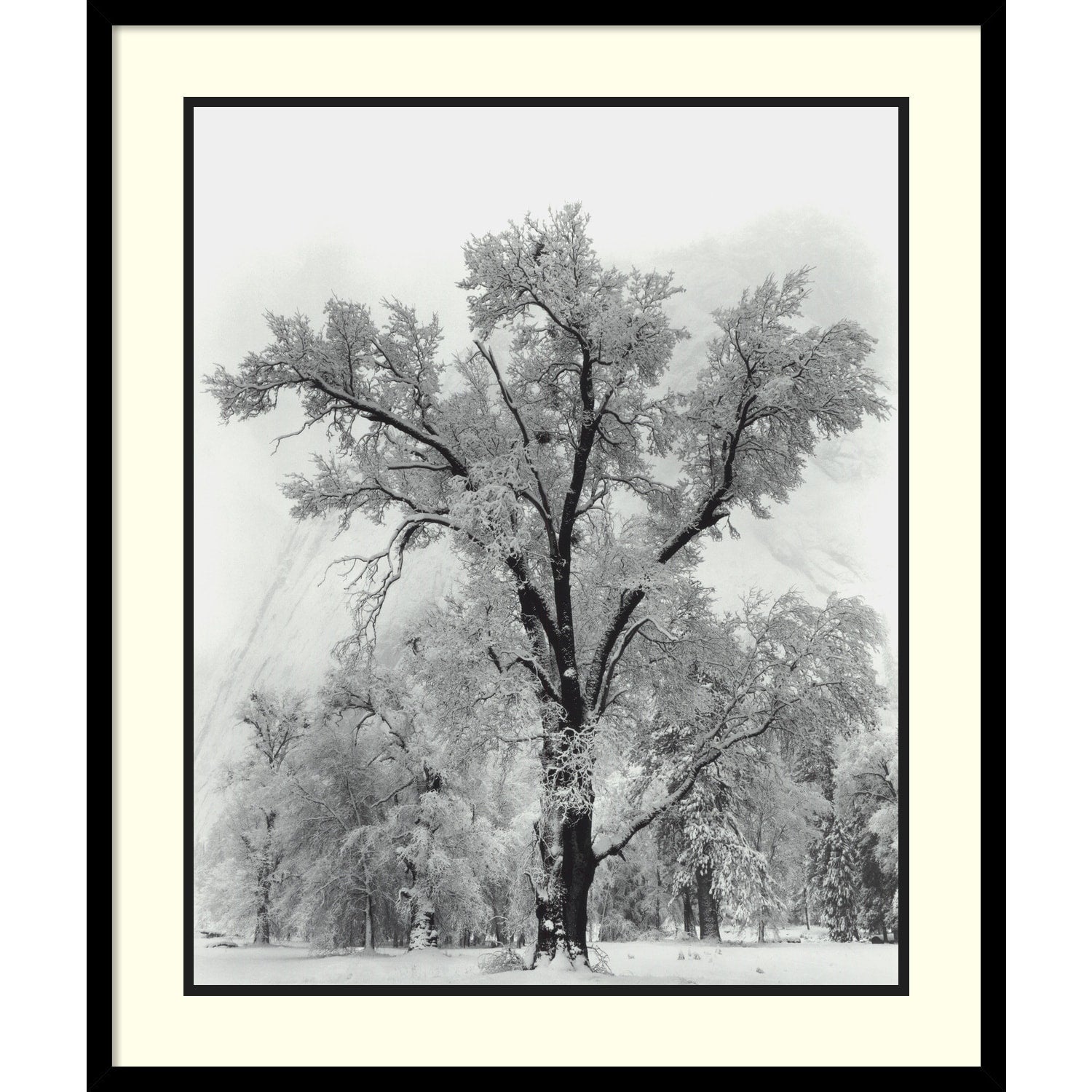 Reproduction d'œuvre encadrée « Chêne, tempête de neige, parc national de Yosemite - 1948 » d'Ansel Adams, 68,6 x 81,3 cm.