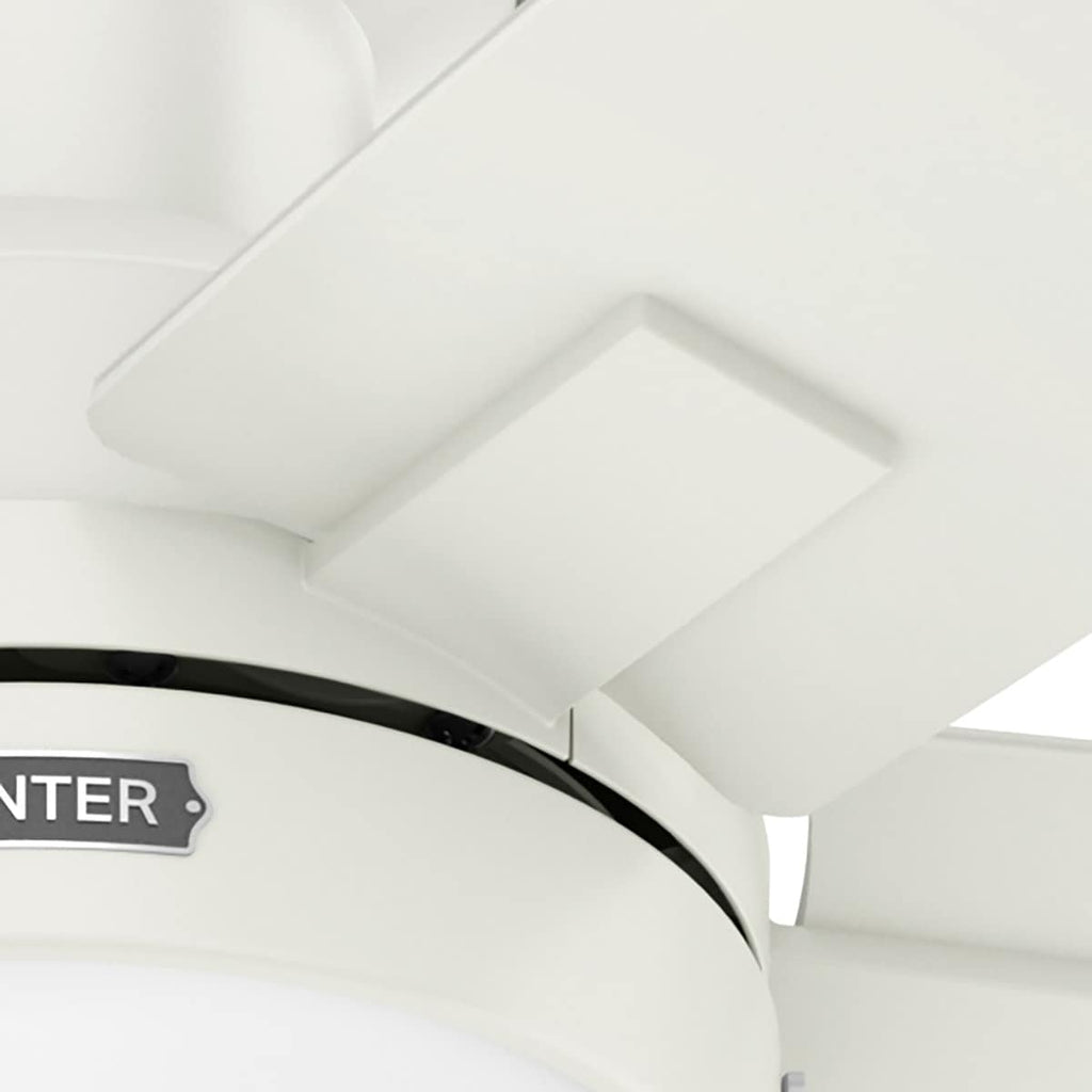 Ventilateur de plafond Hunter 52 Anisten à profil bas avec éclairage LED et interrupteur à tirer - Style moderne, contemporain, transitionnel