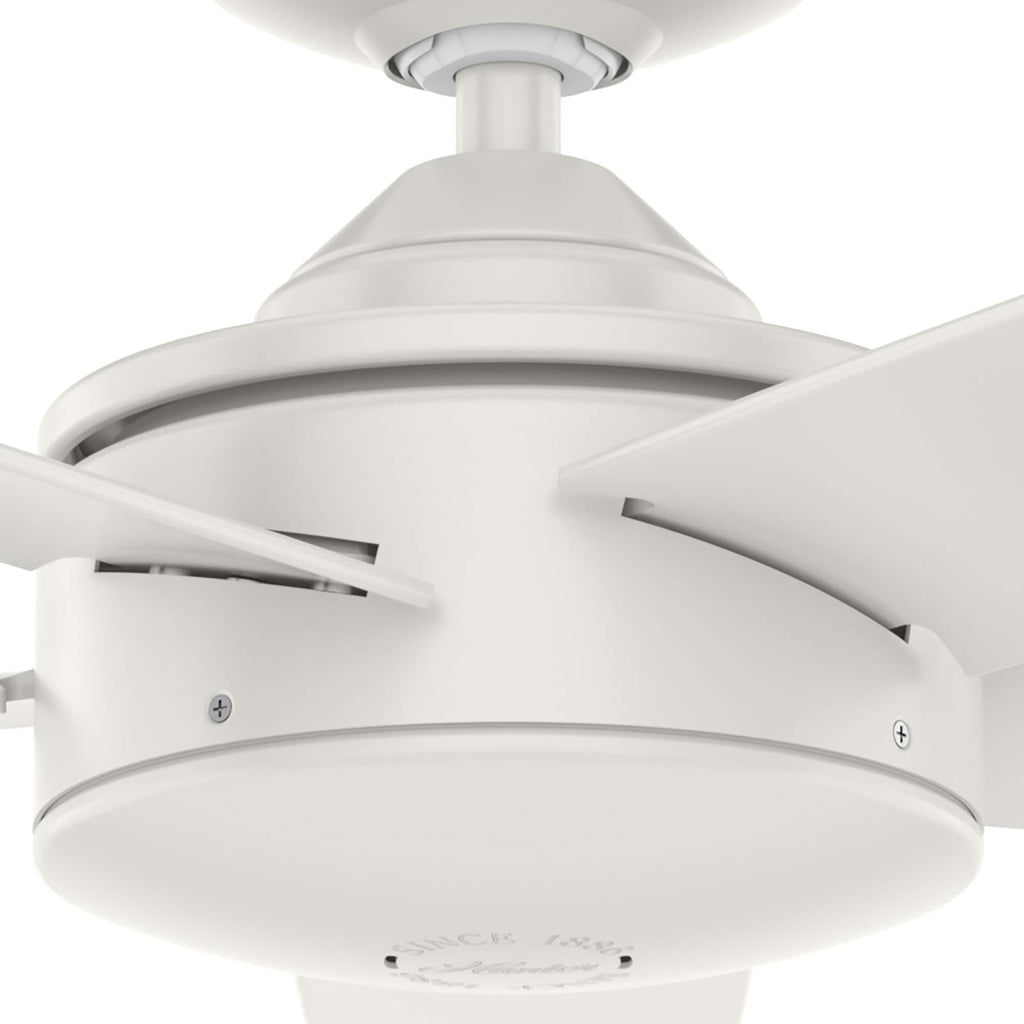 Ventilateur de plafond Hunter 52 Shorebreak WeatherMax pour intérieur/extérieur avec commande murale - Résistant aux intempéries extrêmes, au sel et à la corrosion