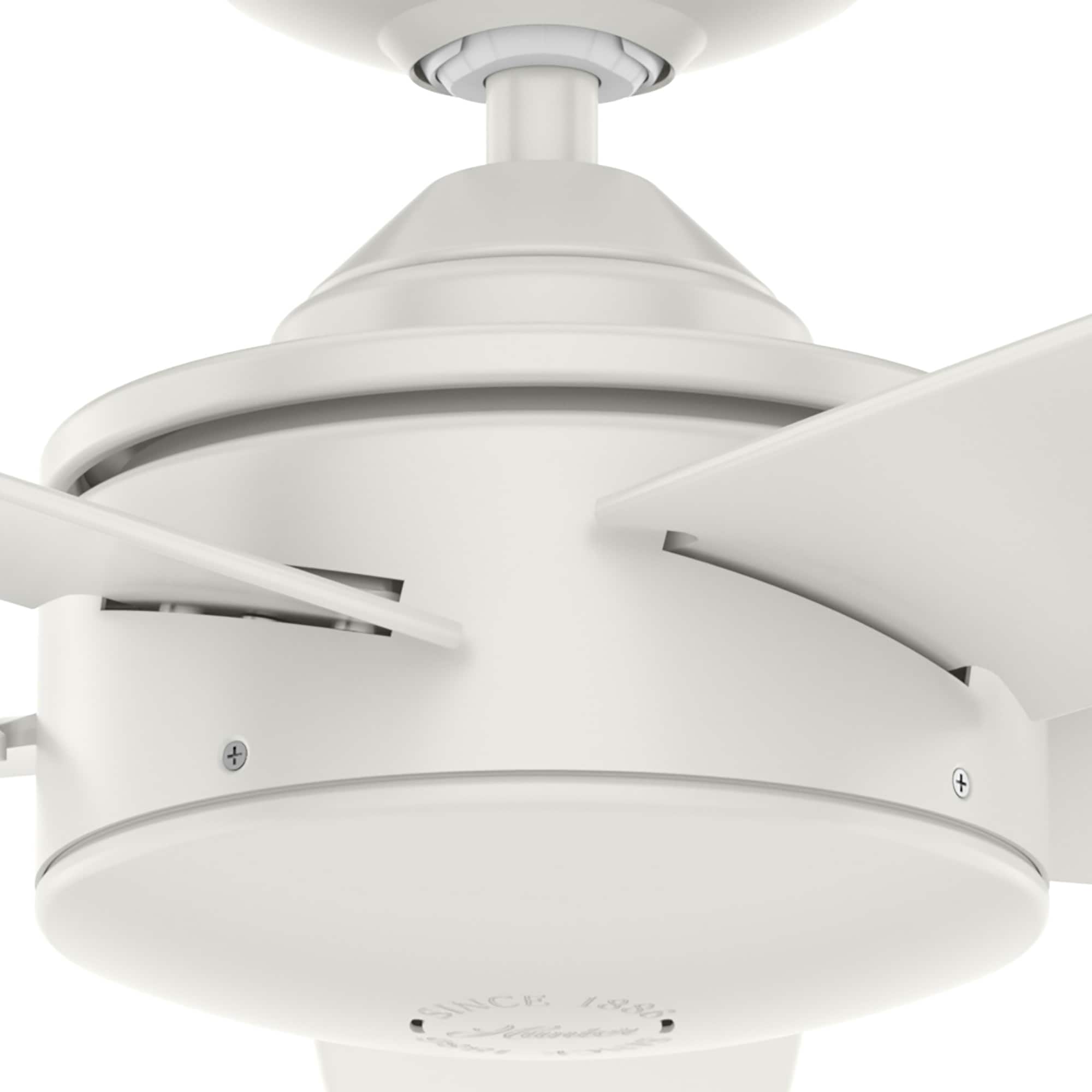 Ventilateur de plafond Hunter 52 Shorebreak WeatherMax pour intérieur/extérieur avec commande murale - Résistant aux intempéries extrêmes, au sel et à la corrosion