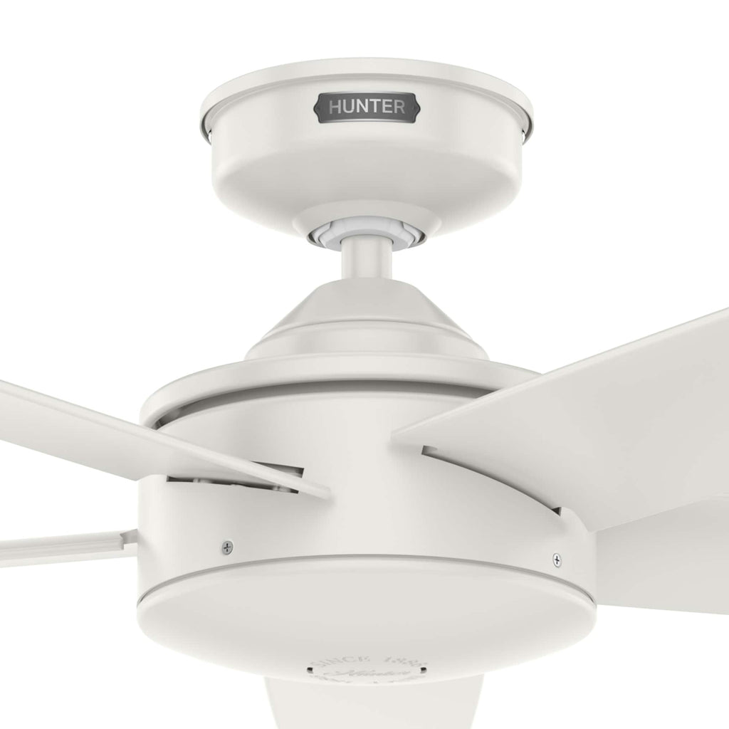 Ventilateur de plafond Hunter 52 Shorebreak WeatherMax pour intérieur/extérieur avec commande murale - Résistant aux intempéries extrêmes, au sel et à la corrosion