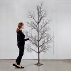 96 Branche de bois mort d'arbre