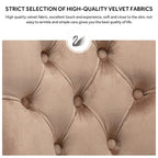 Lot de 6 chaises de salle à manger en velours capitonné avec pieds en bois massif.