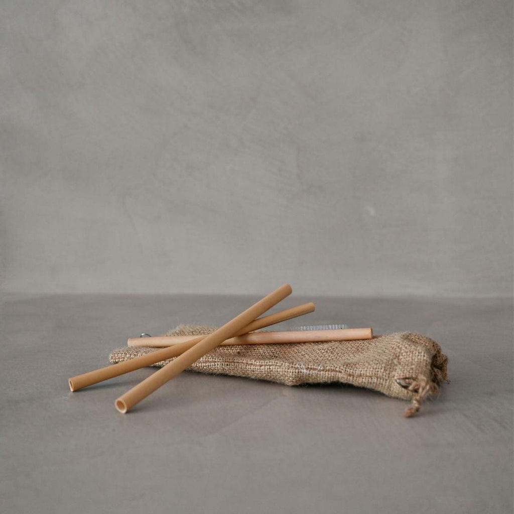 Pailles en bambou | Lot de 3