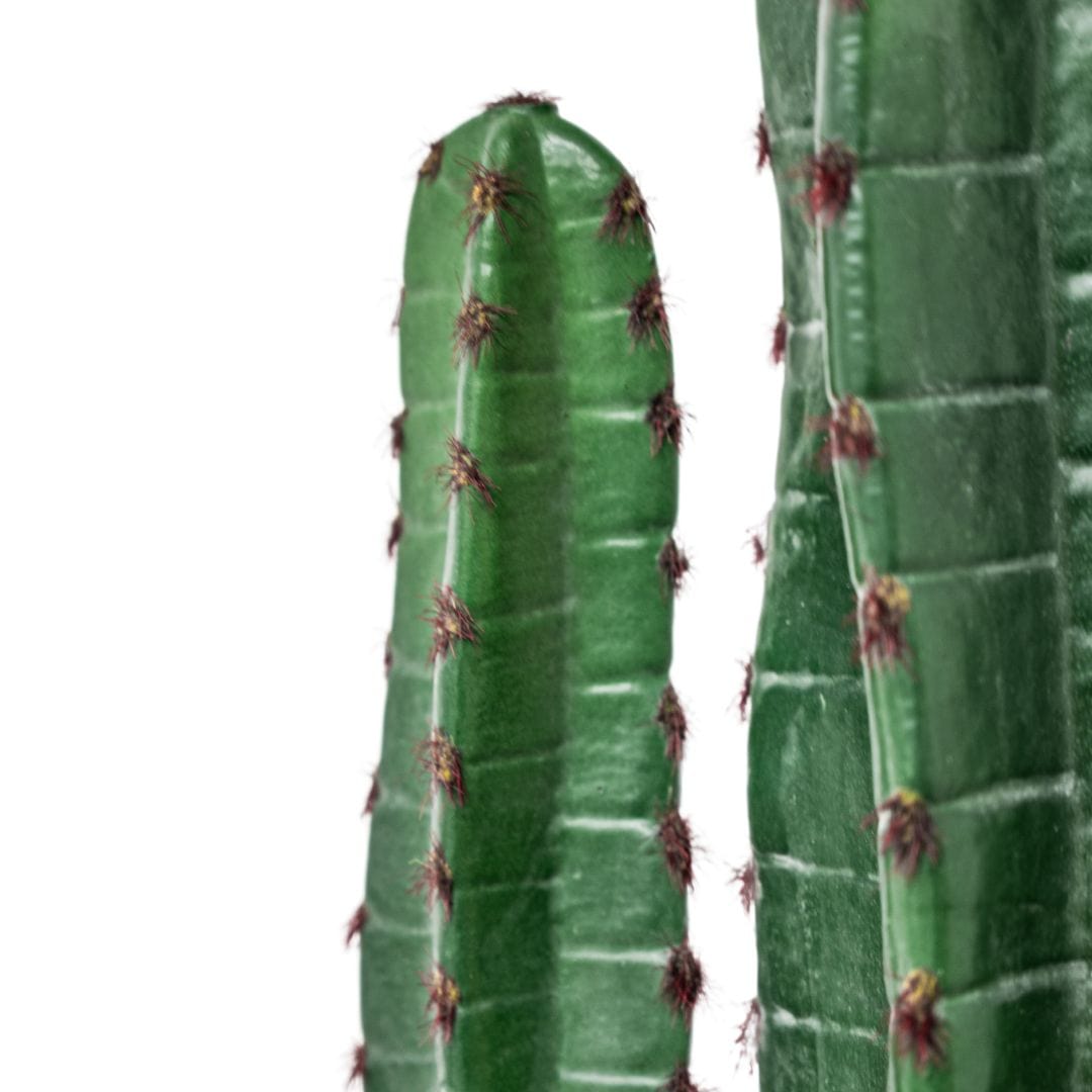 Cactus | Plante décorative d'intérieur | 150 cm