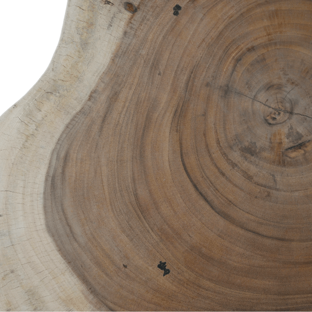Table basse Nature | 100cm