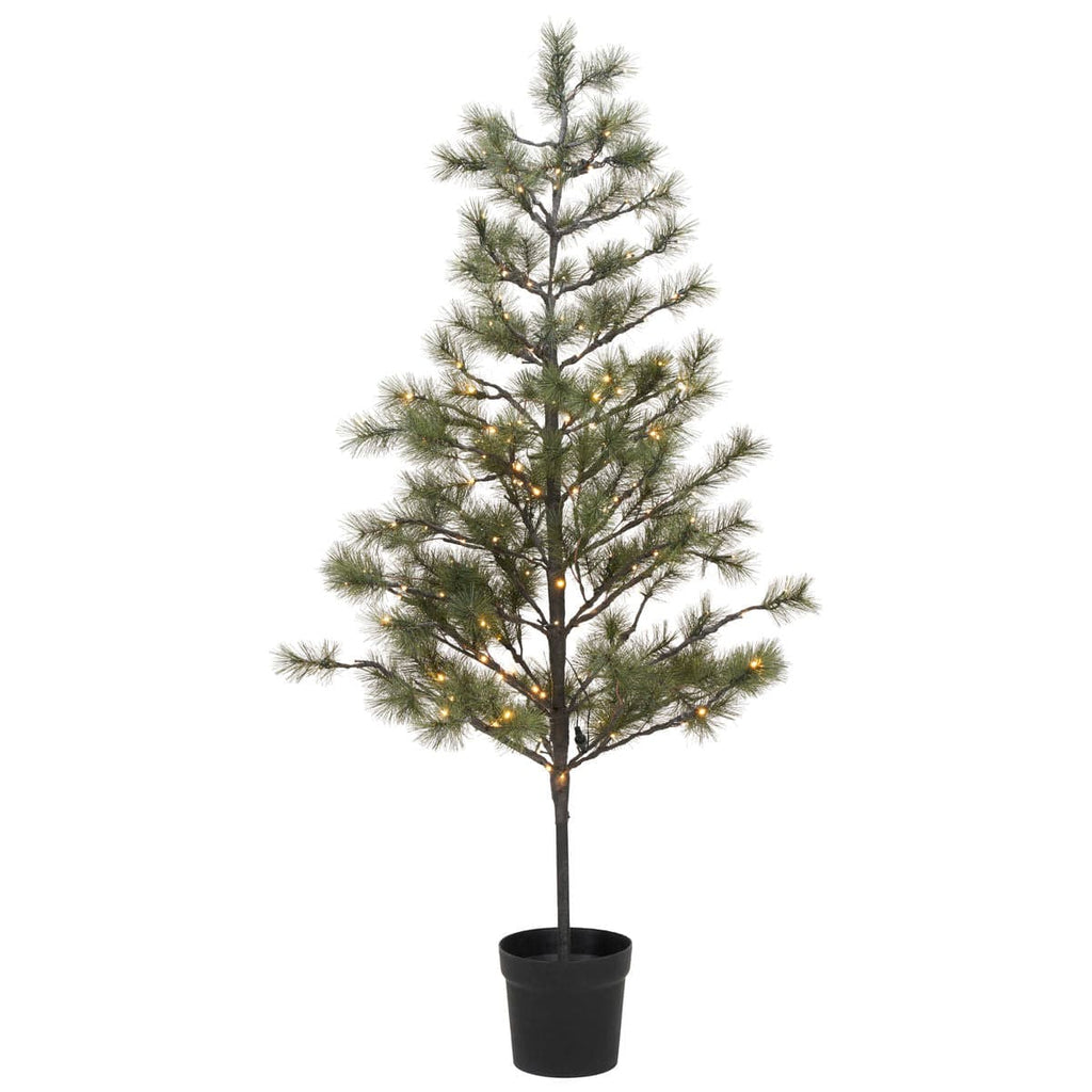 Sapin de Noël Peuce | 180cm