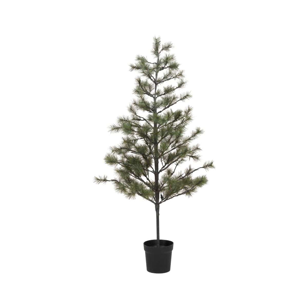 Sapin de Noël Peuce | 180cm