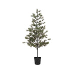 Sapin de Noël Peuce | 180cm