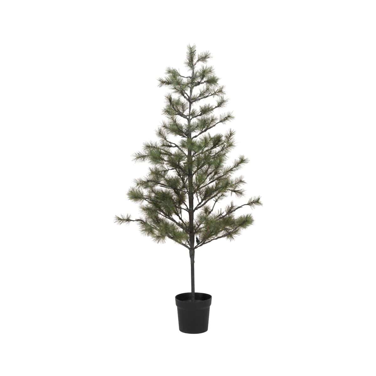 Sapin de Noël Peuce | 180cm