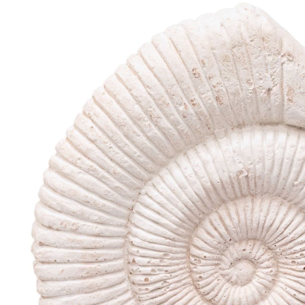 Statue en ciment et coquillages | 16x7x25cm