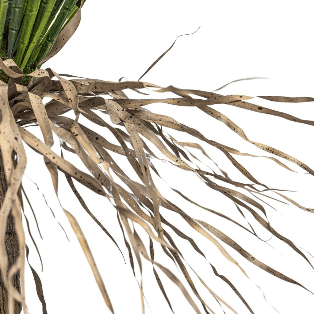 Yucca sauvage | Plante décorative d'intérieur | 110 cm