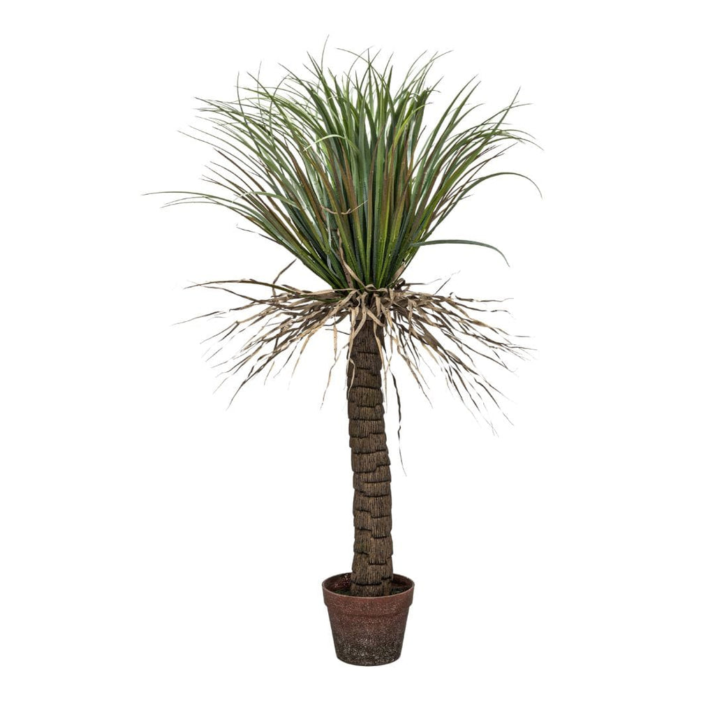 Yucca sauvage | Plante décorative d'intérieur | 110 cm