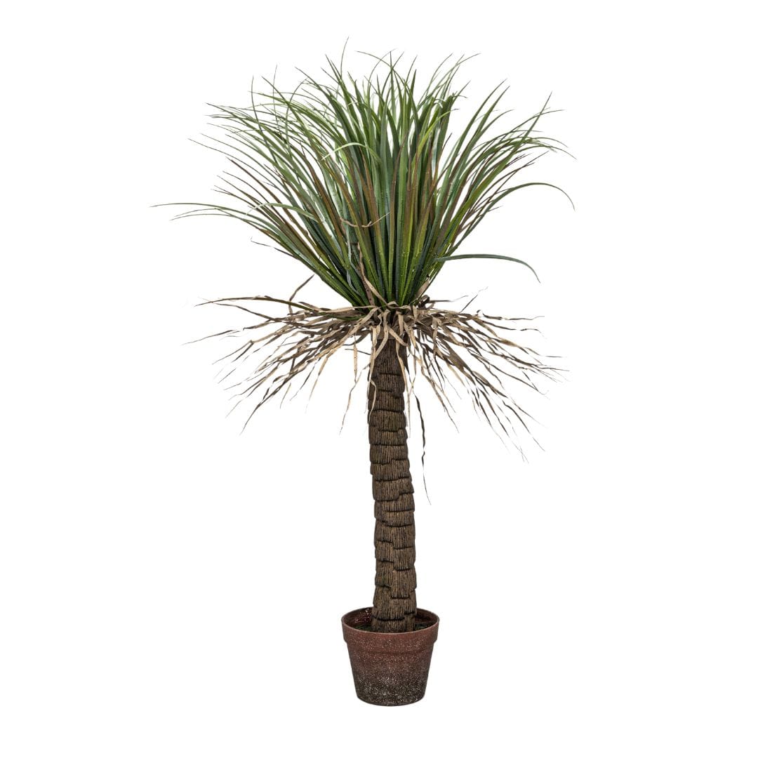 Yucca sauvage | Plante décorative d'intérieur | 110 cm