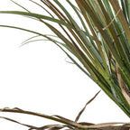 Yucca sauvage | Plante décorative d'intérieur | 110 cm