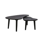 Ensemble de tables basses Wilder